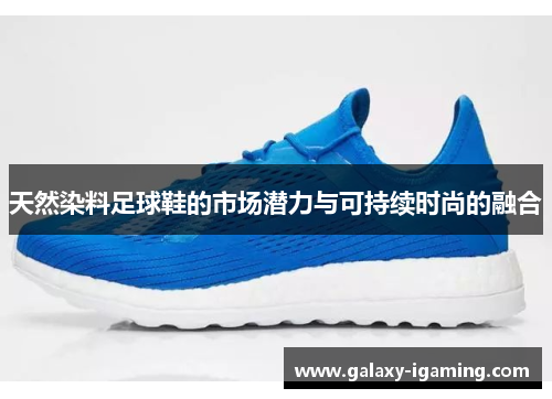天然染料足球鞋的市场潜力与可持续时尚的融合